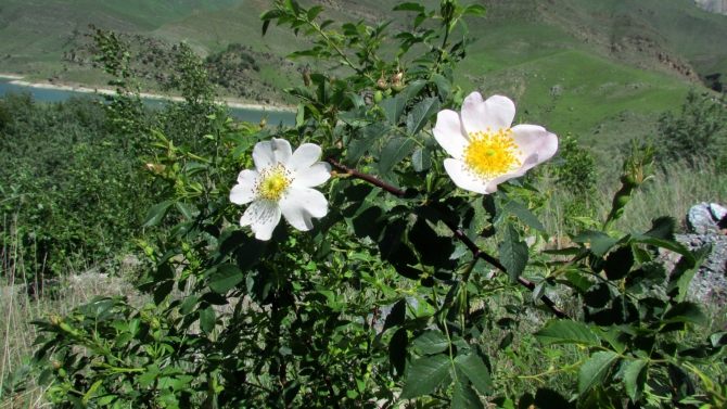 Былымские озёра, и окрестности. (баксанское ущелье)