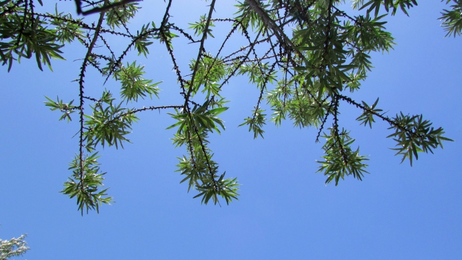 Былымские озёра, и окрестности. (баксанское ущелье)