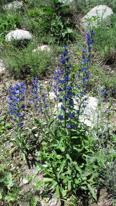 Былымские озёра, и окрестности. (баксанское ущелье)