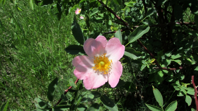 Былымские озёра, и окрестности. (баксанское ущелье)