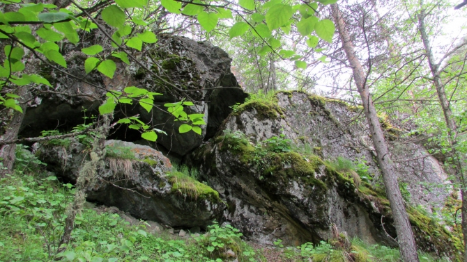 В Адыл-су. (приэльбрусье, джантуган, шхельда)