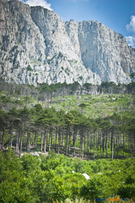 Альпинизм в Крыму. Анонс новых маршрутов на Алупкинской стене и г.Куш-Кая. (описание, первопроход, алупкинская стена)