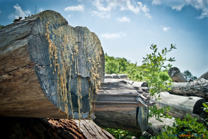 Альпинизм в Крыму. Анонс новых маршрутов на Алупкинской стене и г.Куш-Кая. (описание, первопроход, алупкинская стена)