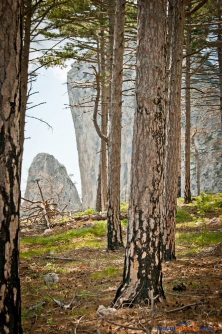 Альпинизм в Крыму. Анонс новых маршрутов на Алупкинской стене и г.Куш-Кая. (описание, первопроход, алупкинская стена)