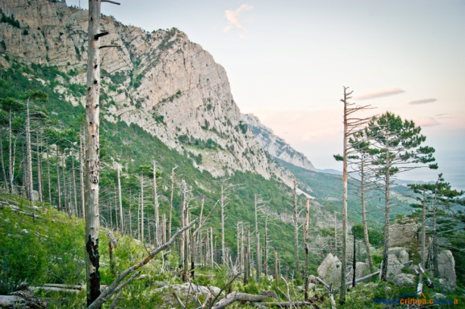 Альпинизм в Крыму. Анонс новых маршрутов на Алупкинской стене и г.Куш-Кая. (описание, первопроход, алупкинская стена)