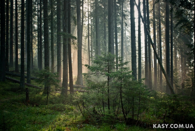 Фото и видеоотчет о пешке по Карпатским Горганам (май 2014, Путешествия, горганы, карпаты, пешка, майовка)