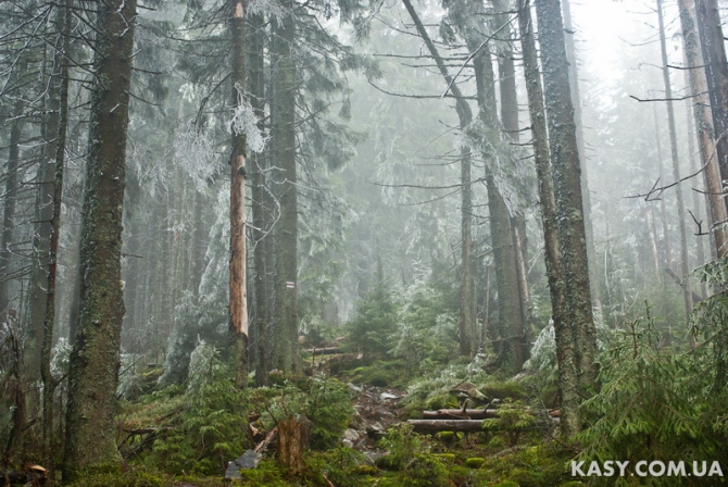 Фото и видеоотчет о пешке по Карпатским Горганам (май 2014, Путешествия, горганы, карпаты, пешка, майовка)