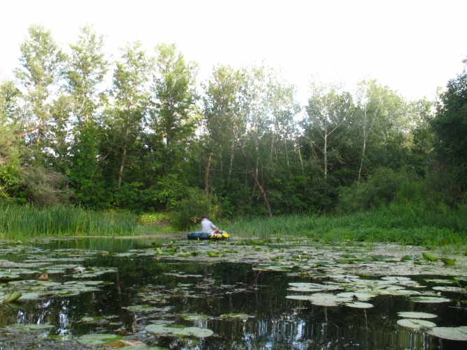 В краю водяных лилий и кувшинок. (Путешествия, река орель, сплав на лодках, водные путешествия, водные лилии.)