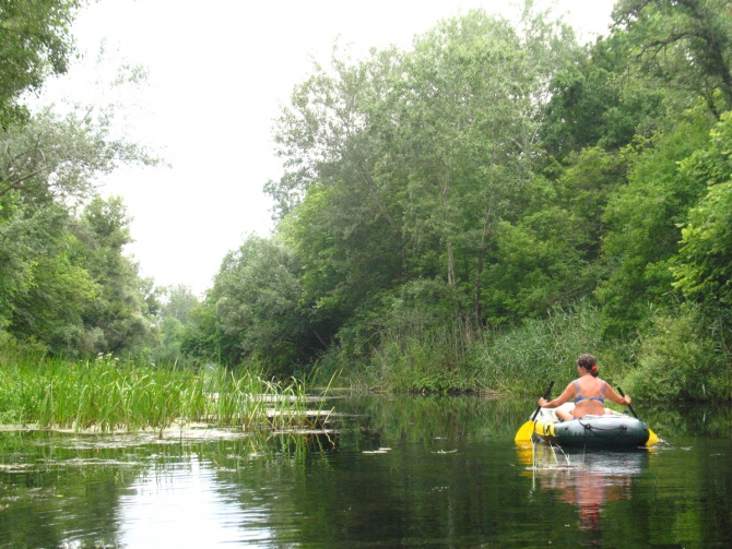 В краю водяных лилий и кувшинок. (Путешествия, река орель, сплав на лодках, водные путешествия, водные лилии.)