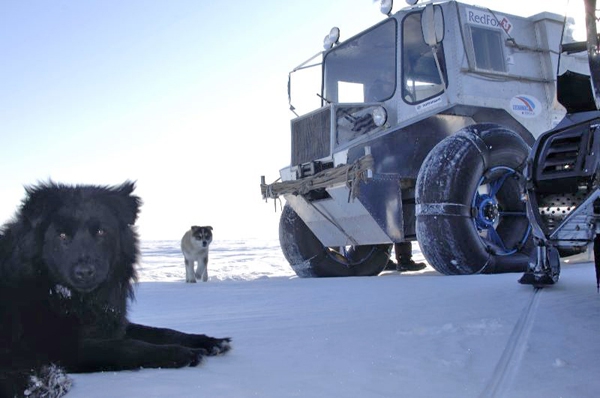 На машинах к Северному полюсу: погода хорошая, светит солнце! (демченко, арктика, северный полюс, экспедиции)