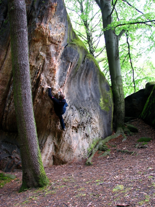 Саксонская Швейцария, 1-4 май 2008. (Скалолазание, dav-club-russland)