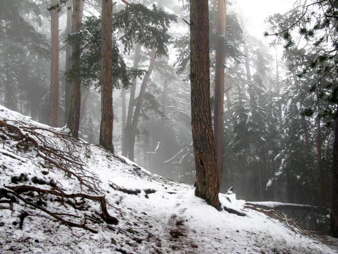 Эльбрус - май 2008. Фотоальбом (Альпинизм, восхождение, горы, кавказ, ирик, приэльбрусье)
