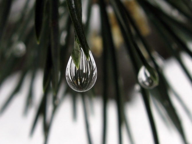 Эльбрус - май 2008. Фотоальбом (Альпинизм, восхождение, горы, кавказ, ирик, приэльбрусье)