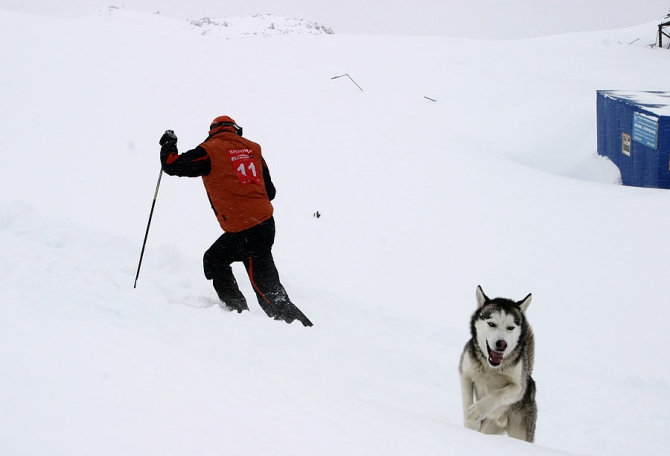 Фестиваль Red Fox на Эльбрусе: фотоностальгия.... (Снегоступинг, elbrus red fox race, снегоступинг, ски-альпинизм)
