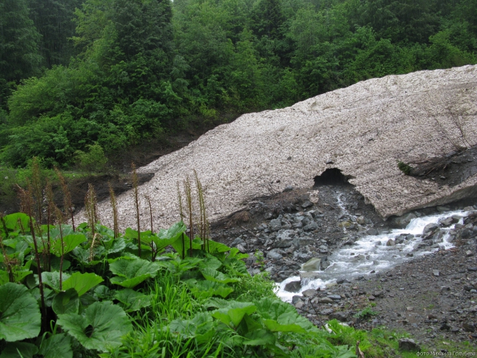 Чугуш - июнь 2008 (Альпинизм, горы, кавказ, красная поляна, ачишхо)