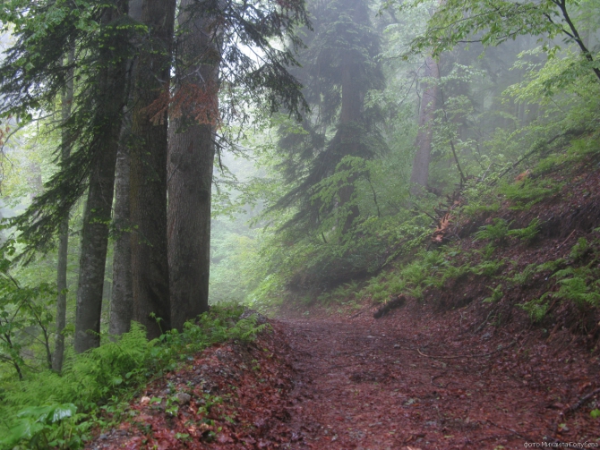 Чугуш - июнь 2008 (Альпинизм, горы, кавказ, красная поляна, ачишхо)