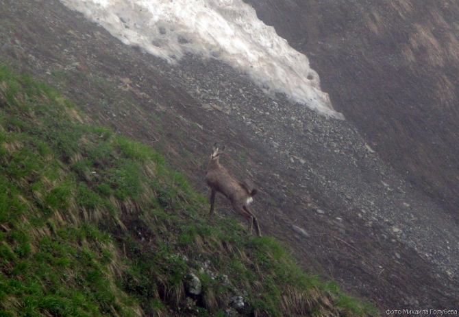 Чугуш - июнь 2008 (Альпинизм, горы, кавказ, красная поляна, ачишхо)