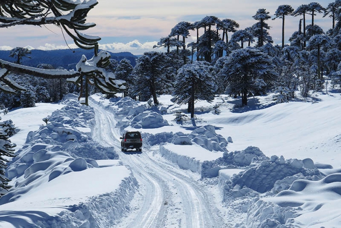 Чилийский скитур, бессмысленный и беспощадный (фоторепорт, Бэккантри/Фрирайд, аргентина, южная америка, макс панков, алекс кузмицкий, беккантри, фрирайд, snow sense)