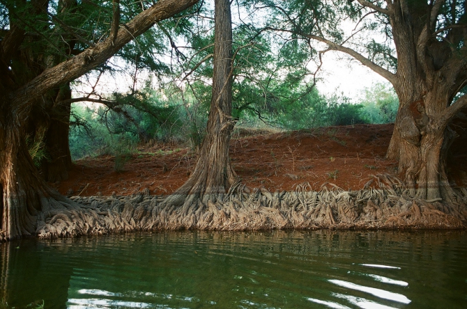 Мексика – El gigante. Base-climbing Projekt (Альпинизм, скалолазание, пещера ласточек)