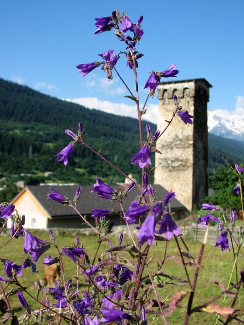 Сванский триптих: Тетнульд, Ушба и Шхара (Альпинизм, сванетия)