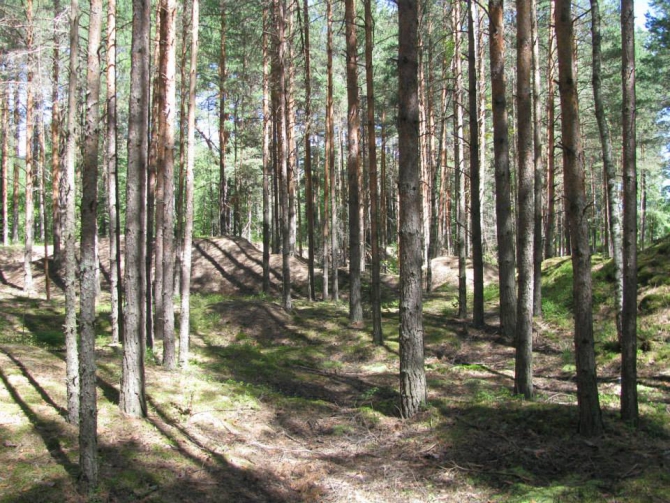 Фестиваль приключенческих гонок "Осенний марафон - Сплав 2014" (Мультигонки)