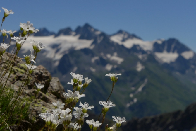 Поход Архыз - Имеретинские озера (Горный туризм, имеретинские озёра, кавказский заповедник)