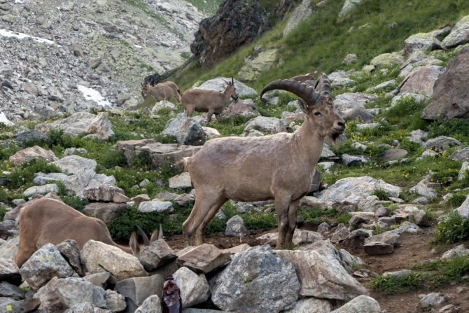 Поход Архыз - Имеретинские озера (Горный туризм, имеретинские озёра, кавказский заповедник)