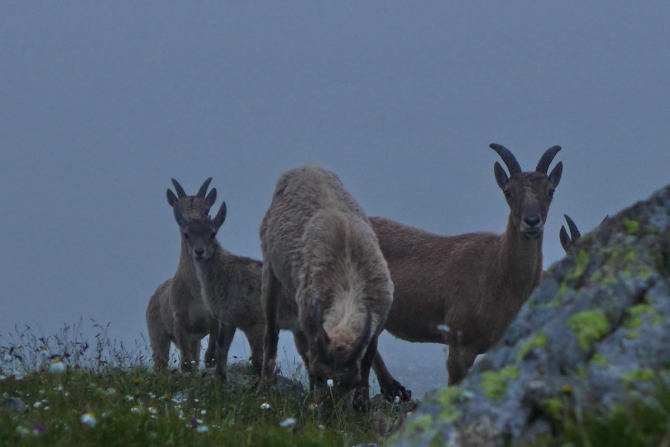 Поход Архыз - Имеретинские озера (Горный туризм, имеретинские озёра, кавказский заповедник)