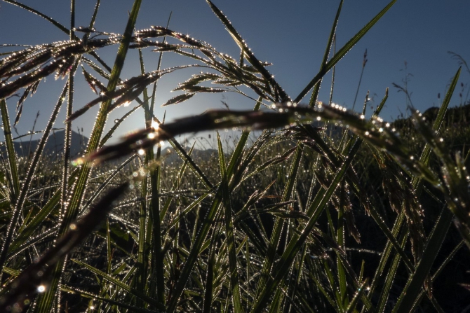 Поход Архыз - Имеретинские озера (Горный туризм, имеретинские озёра, кавказский заповедник)