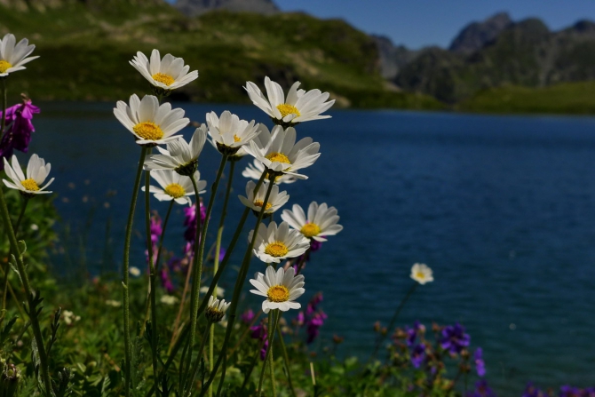 Поход Архыз - Имеретинские озера (Горный туризм, имеретинские озёра, кавказский заповедник)