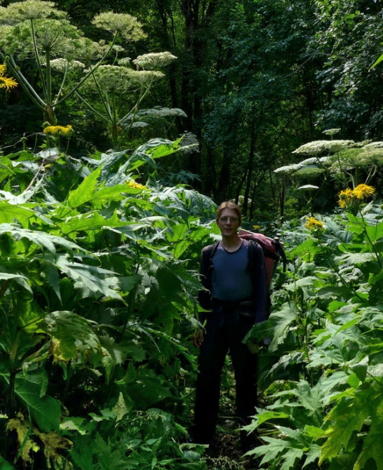 Поход Архыз - Имеретинские озера (Горный туризм, имеретинские озёра, кавказский заповедник)