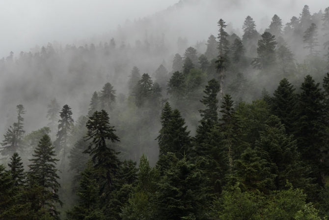 Поход Архыз - Имеретинские озера (Горный туризм, имеретинские озёра, кавказский заповедник)