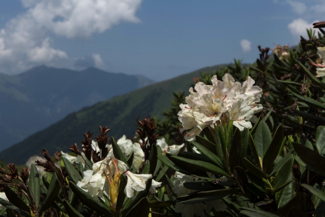 Поход Архыз - Имеретинские озера (Горный туризм, имеретинские озёра, кавказский заповедник)