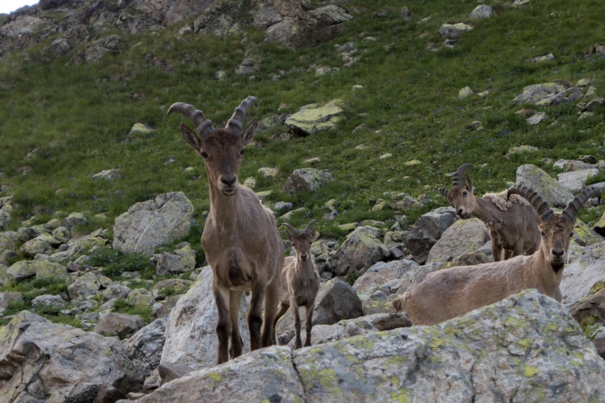 Поход Архыз - Имеретинские озера (Горный туризм, имеретинские озёра, кавказский заповедник)