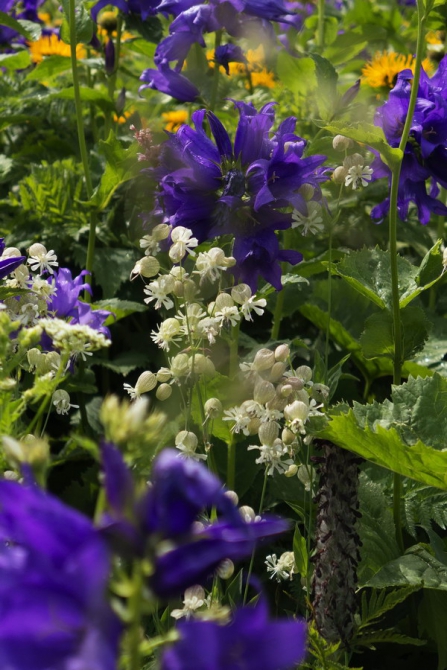 Поход Архыз - Имеретинские озера (Горный туризм, имеретинские озёра, кавказский заповедник)