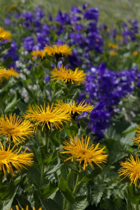 Поход Архыз - Имеретинские озера (Горный туризм, имеретинские озёра, кавказский заповедник)