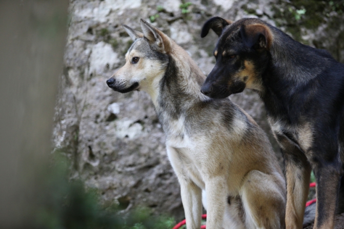 Гуамка-2014: солнце, скалы, детвора! (Скалолазание, апшеронский район, краснодарский край, скалолазание, фестиваль, борис егоров, егор крячков, константин гнедыш, алексей рубцов, вероника волкова, яна ковалева, дмитрий сарапаев, владимир мурзаев, александра провалова.)