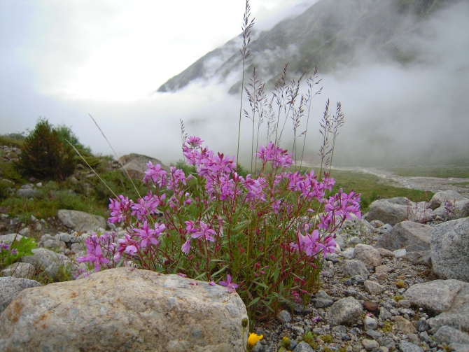 Результаты тестирования спальника Red Point LIGHTSOME 233. (Горный туризм)