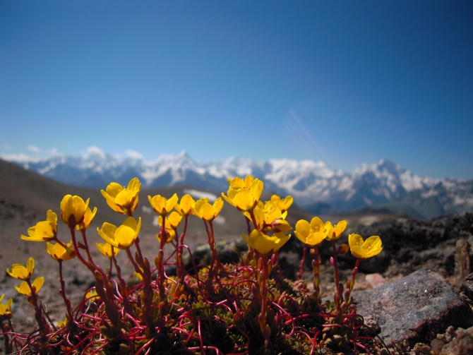 Результаты тестирования спальника Red Point LIGHTSOME 233. (Горный туризм)