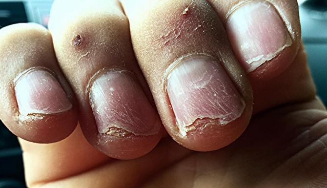 Сильнейшие скалолазы России начали подготовку к чемпионату мира-2014 (Скалолазание, александр шиков, никита суюшкин, дарья кан, наталья титова, станислав кокорин, тренировочное мероприятие, скорость, тюмень, сергей сергеевич сергеев, мария красавина)