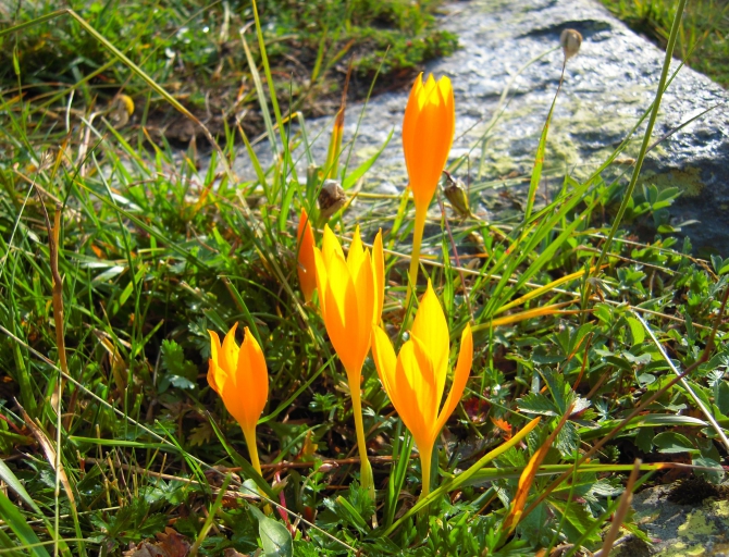 Мой летний сезон 2014. Фотоотчёт. (Горный туризм)