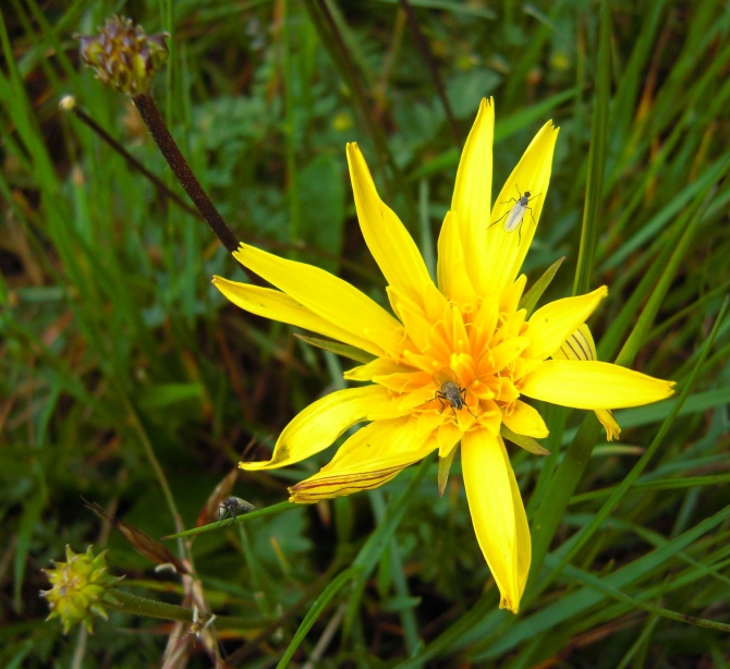 Мой летний сезон 2014. Фотоотчёт. (Горный туризм)