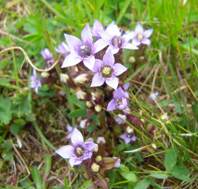 Мой летний сезон 2014. Фотоотчёт. (Горный туризм)