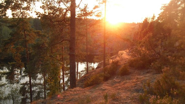 Пару слов о прорайдерстве (Скалолазание, скальные туфли)