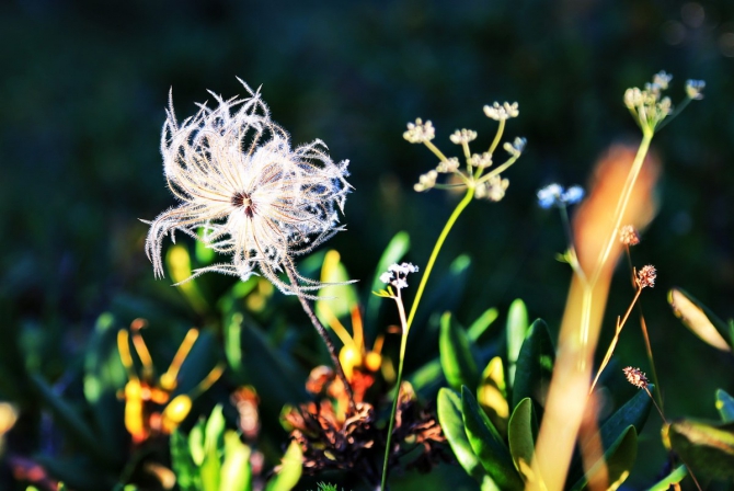 Воскресно - закатное настроение (фотоотчёт, горная карусель, черная пирамида, красная поляна)