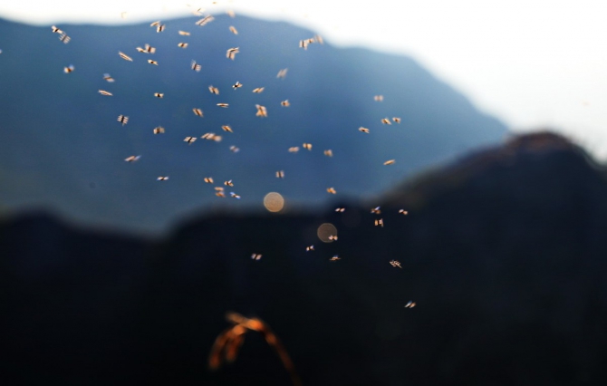 Воскресно - закатное настроение (фотоотчёт, горная карусель, черная пирамида, красная поляна)