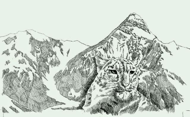 А у Дениса Урубко новая книга! (Альпинизм, денис урубко, погоня за снежным барсом)