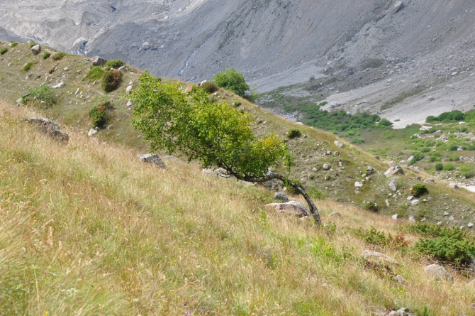 Безенги-2014 (Горный туризм)