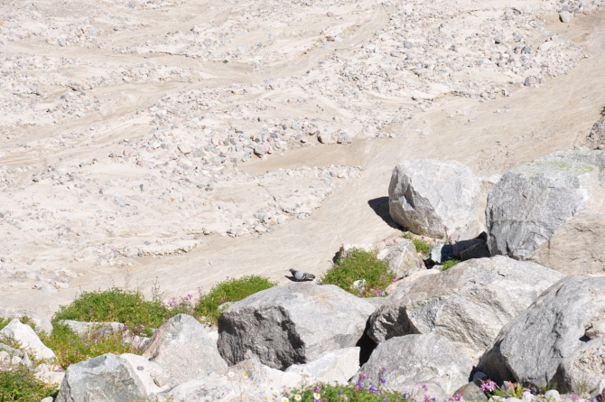 Безенги-2014 (Горный туризм)