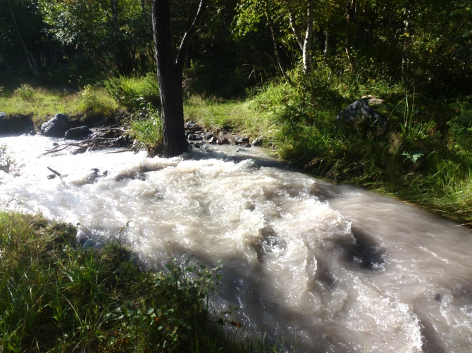 Пикантности моего утра. (приэльбрусье, терскол)